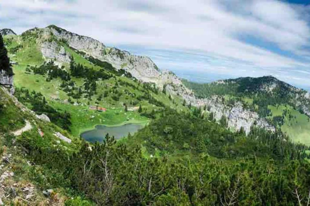 Topmodernes Studio - Sommer Im Bayerischen Inntal Brannenburg Extérieur photo