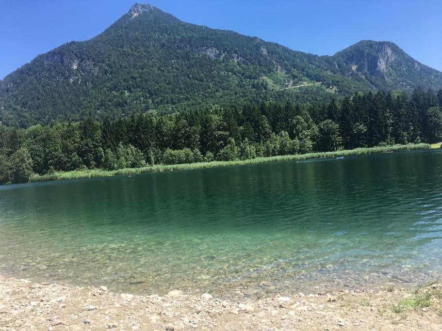 Topmodernes Studio - Sommer Im Bayerischen Inntal Brannenburg Extérieur photo